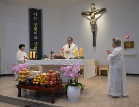 2025년 10월 6일 오전 10시 30분 
추석 합동 위령 미사 중 분향과 연도가 있었고,
미사 후 모싯떡 나눔이 있었습니다.
주님의 은총이 함께 하시는 풍성한 한가위 보내세요.